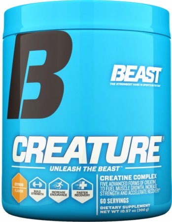 Creature - The fit sect