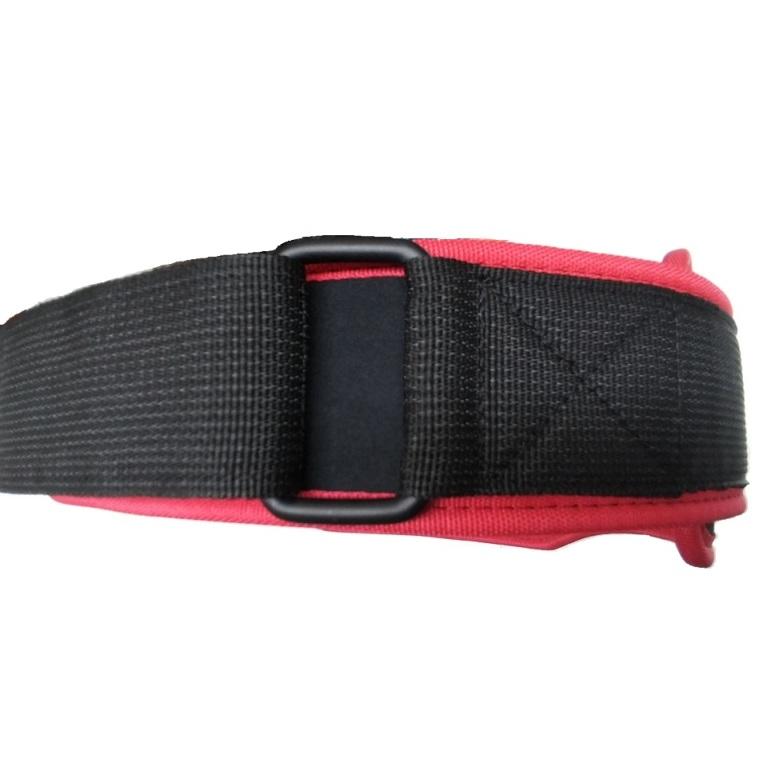 Weight Lifting Belt Neoprene Padded GYM Fitness